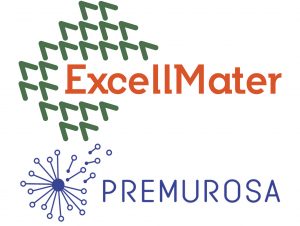 ExcellMater seminar, Third PREMUROSA Network School and Workshop – updated program